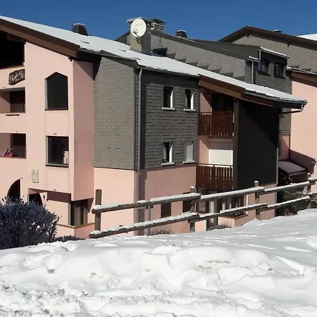 Avec Vue Les Montagnes Apartment Bellevaux
